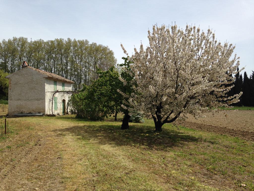 La Maison Du Peintre En Provence Mallemort Buitenkant foto